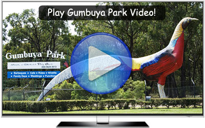 Play Video of Gumbuya Park - Fun Park Melbourne